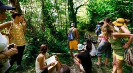 Eventi vicino a te 60 erbe malerba