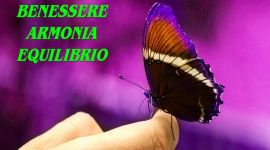 Eventi vicino a te 157 COPERTINA TRATTAMENTI NATURALI 1200x 800