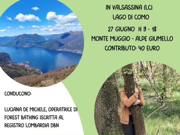 Forest Bathing e trekking sul Lago di Como