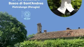 L’intelligenza del corpo