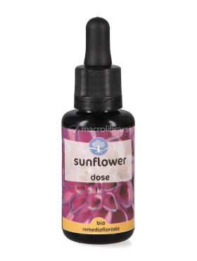 sunflower fiori californiani dose 737981