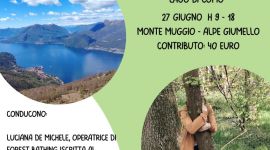 Eventi vicino a te 17 Loc. Forest trekkink giugno 26