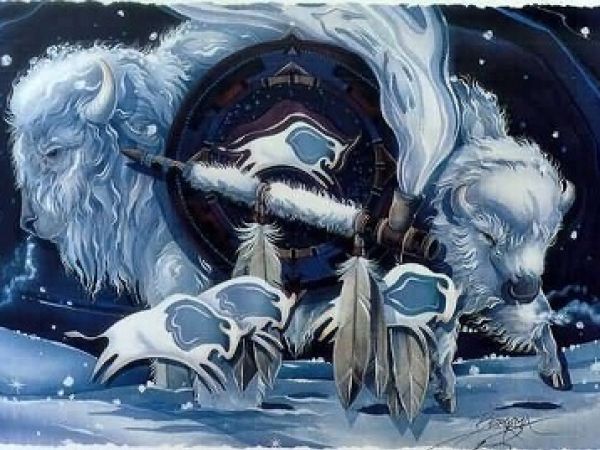 Ruota di Medicina – Il Sentiero del Nord
