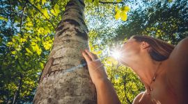 Eventi vicino a te 241 mindfulness in natura vivi il momento 5