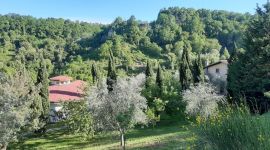 Eventi vicino a te 152 parco 02