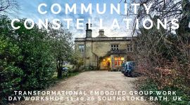 Home 311 Community Constellations Day