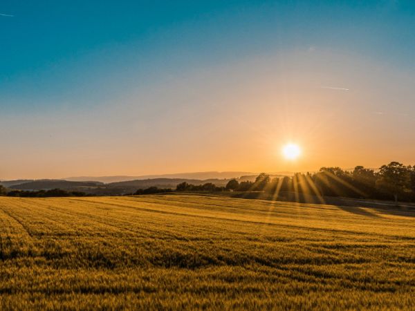 MBSR – Mindfulness Based Stress Reduction (mattino)