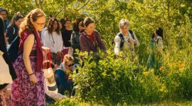 Eventi vicino a te 81 erbe cosmesi salute