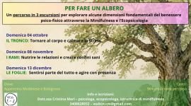Eventi vicino a te 189 per fare un albero percorso in 3 escursioni di mindfulness ed ecopsicologia