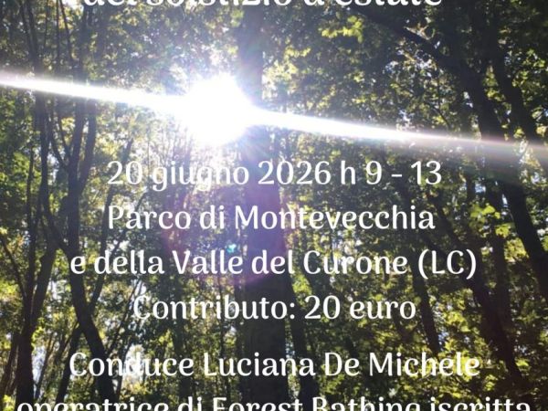 Forest bathing del solstizio d’estate