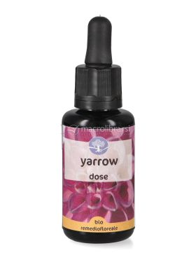 yarrow fiori californiani dose 737984 2