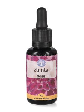zinnia fiori californiani dose 737982 2