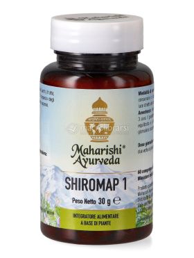 shiromap 1 613110