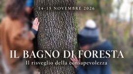 Home 57 Bagno di foresta: risveglio consapevole