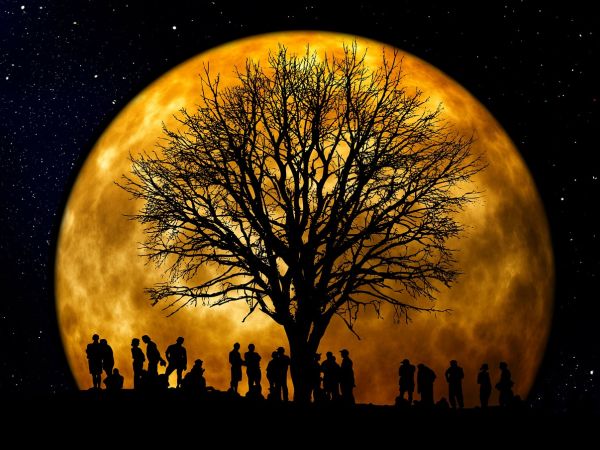 Al mio posto, nella mia vita